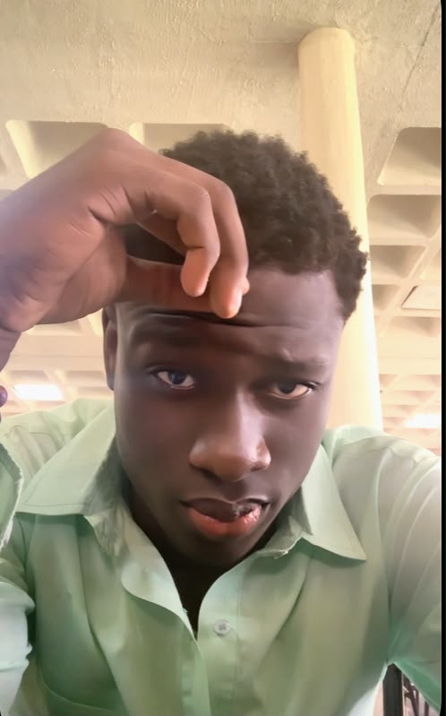 Onwurah david chinecherem